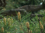 s-DSCF5052.jpg