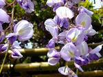 s-DSCF5072.jpg