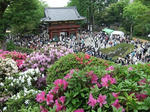 s-DSCF4946.jpg