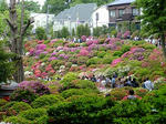 s-DSCF4968.jpg