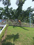 s-DSCF5494.jpg
