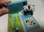 s-DSCF6038.jpg