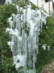 s-DSCF6089.jpg