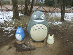 s-DSCF6072.jpg