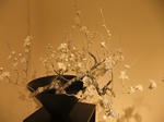 s-DSCF6412.jpg