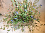 s-DSCF6414.jpg