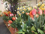 s-DSCF6424.jpg
