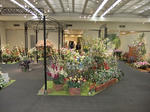 s-DSCF6422.jpg