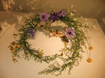 s-DSCF6419.jpg