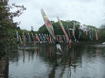 s-DSCF6523.jpg