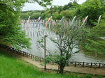 s-DSCF6517.jpg