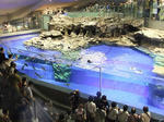 s-DSCF6699.jpg