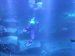 s-DSCF6701.jpg