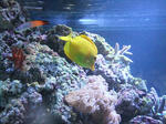 s-DSCF6706.jpg