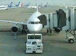 s-DSCF6595.jpg