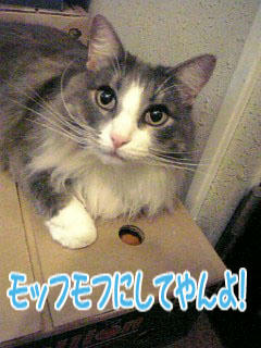 090912.jpg