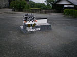 893f846f.JPG