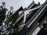 a211b286.JPG