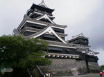 82369c95.JPG