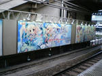 6488f823.JPG