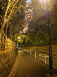 03b32a65.JPG