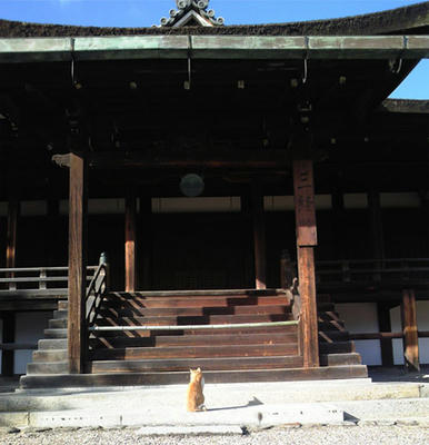 kei-098.1.jpg