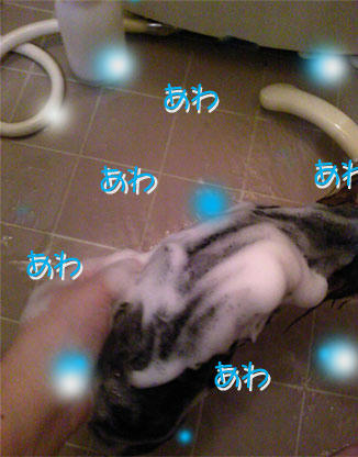 keitai-067-3.6.jpg