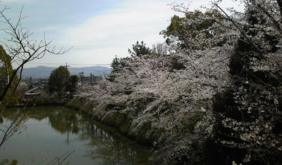 c2c66952.jpg