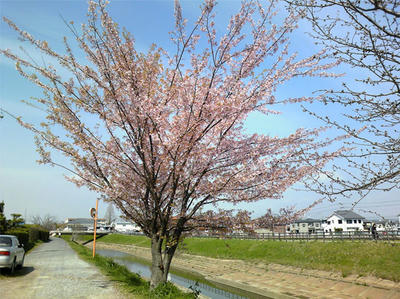 keitai-030.jpg
