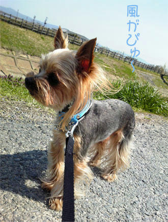 keitai-032.jpg