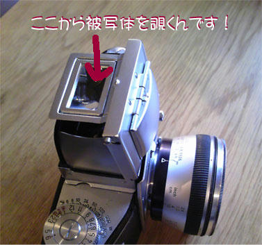 7cc97b1f.jpg