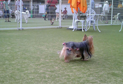 7721bd75.jpg