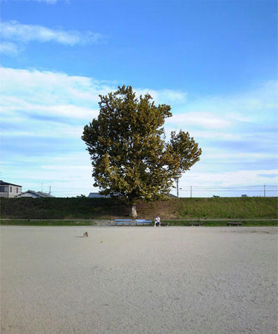a136f468.jpg