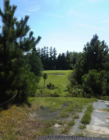c96b5500.jpg
