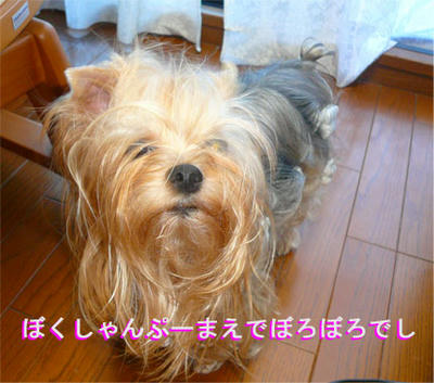 kondeji-017.jpg