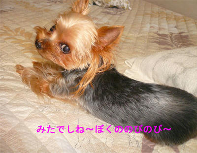 kondeji-020.jpg