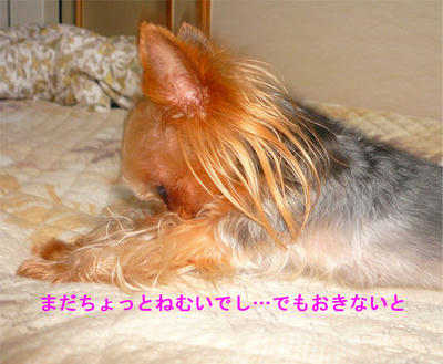 kondeji-022.jpg