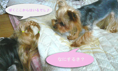kondeji-034.jpg
