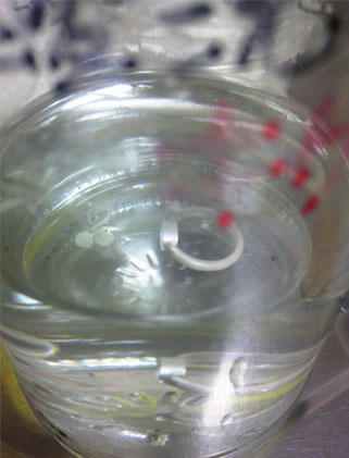 f9389dcd.jpg