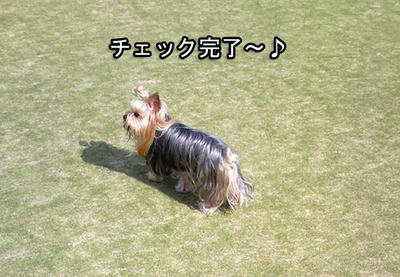 bc865a40.jpg