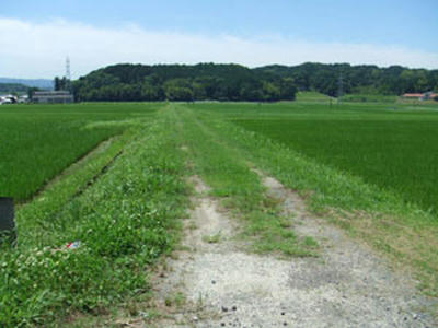 畦道