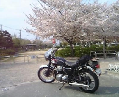 花園公園