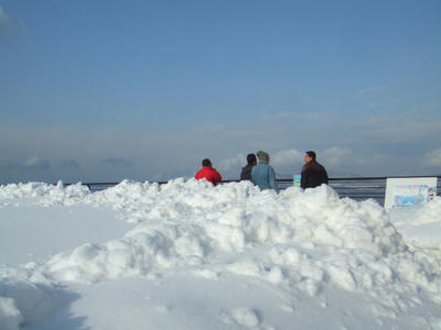 雪に埋まる