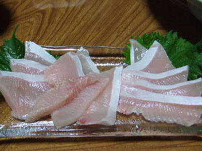 寒鰤トロ