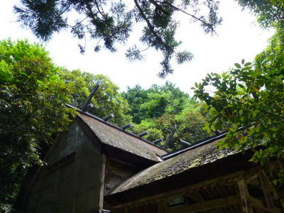 屋根