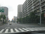 IMG_2204.jpg