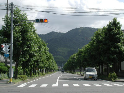 P7140001.JPG