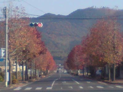 DSC00085.JPG