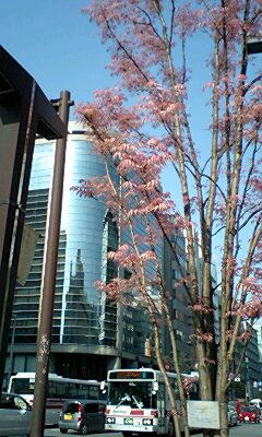 07110-01-080412.jpg