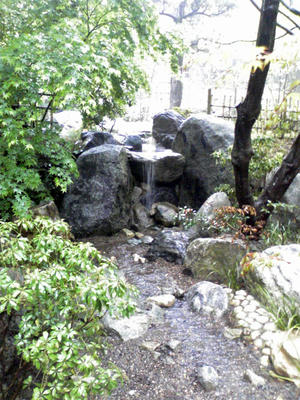 07212-01-080417.jpg